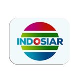 PT Indosiar Visual Mandiri