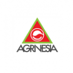 PT Agrinesia Raya